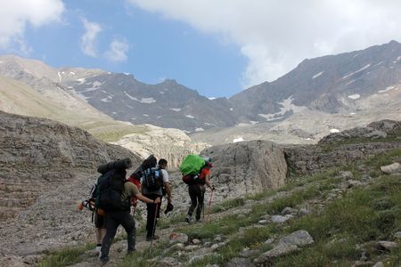जंगल में जंगली जानवरों से सुरक्षा के पारंपरिक भारतीय तरीके