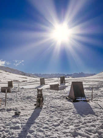 Trekking with Solar Power: Chargers, Lights & Wireless Options for India