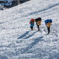 Analysis of Tough Treks in Tehri Garhwal, Ladakh & Sikkim India