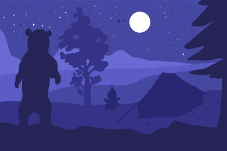 Harishchandragad Trek Camping & Stargazing: Best Spots, Unique Experiences